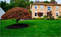 Intelliscape Landscape & Lawn Care Service Intelliscape  Nj