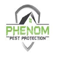 Pest Control Service Phenom Pest Protection